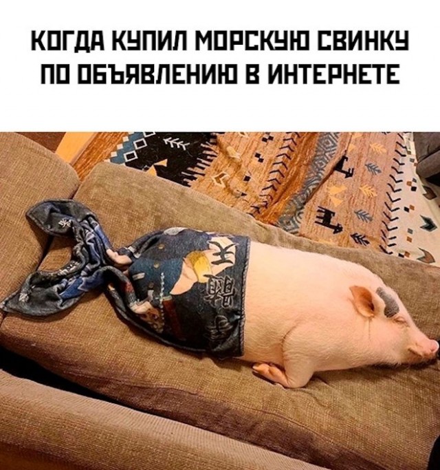 Картинки и мемы, всем хороших выходных