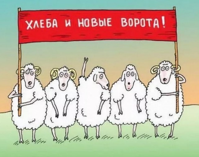 Победная поступь идиотизма по планете – том 9