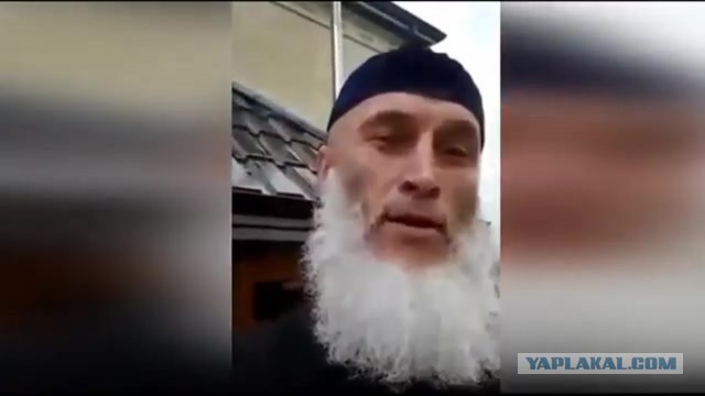 В личку Кочету, мнение?