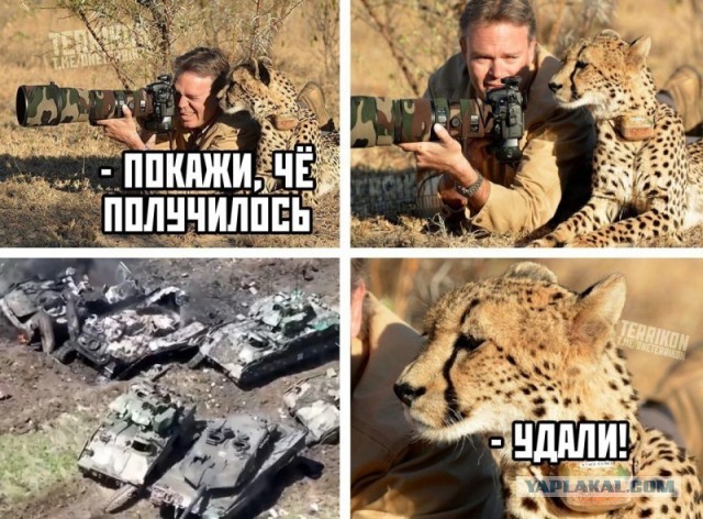 Кросивое