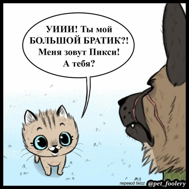 Я твой новый сосед