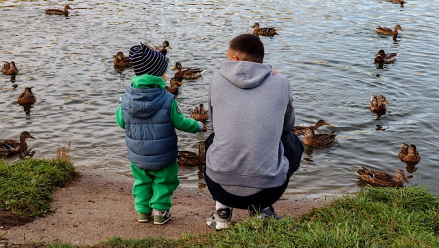 В Государственной Думе выступили с инициативой создания «Отцовской карты» по аналогии с «Пушкинской»
