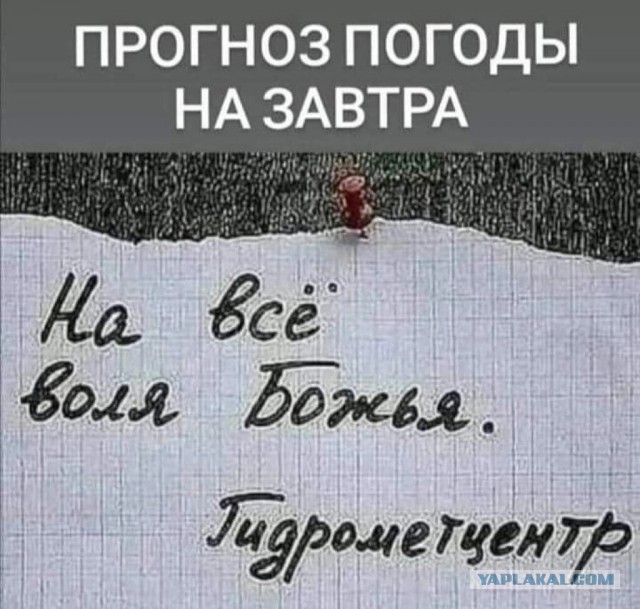 «Я могу быть невинной хоть сто раз». Капсулы девственности покорили Азию
