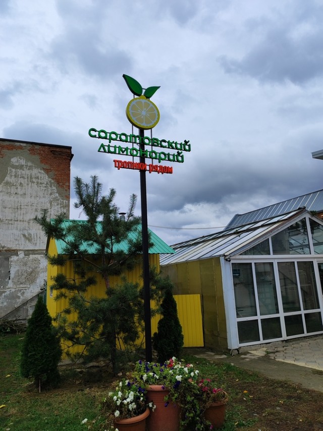 Диагноз: Саратов