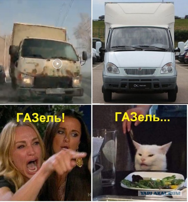 Дед на лысой резине