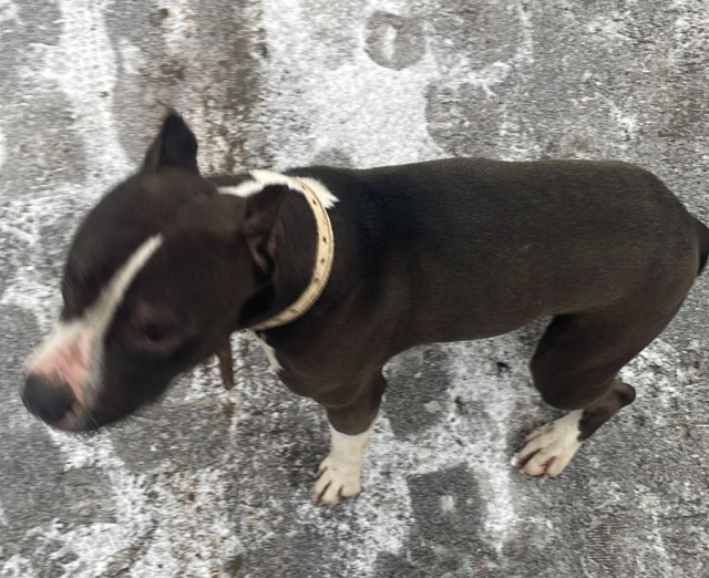 Сборник рассказов ЯПовских авторов. Обсуждение проблемы.