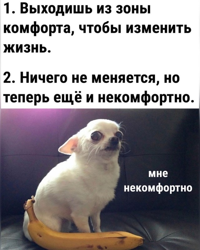 Отряд быстрого деградирования