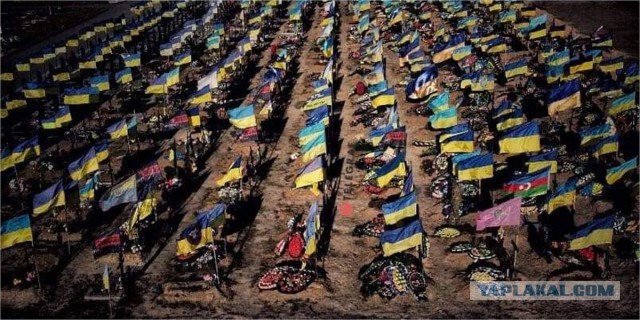 Министр обороны поручил разобраться