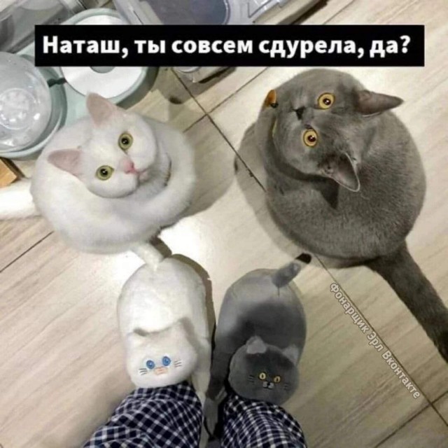 Завалялось тут случайно немного забавных картинок