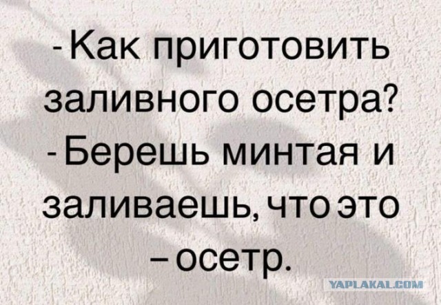 Картинки не для всех