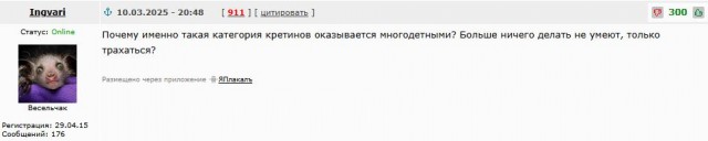 «Резина убитая, рыжики в круг»: россиянин отдал даром старый автомобиль на сайте объявлений и получил отрицательный отзыв