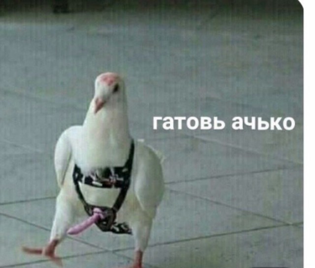 Правильная мотивация