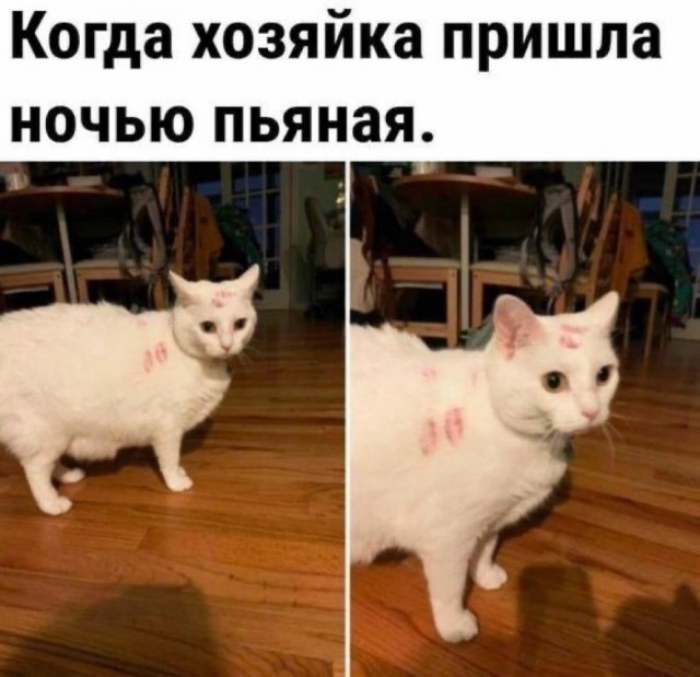 Завалялось тут случайно немного забавных картинок