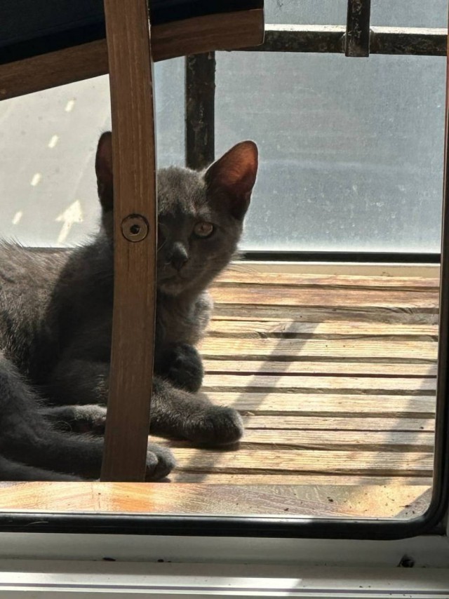 Веселое настроение в картинках 24.07.25