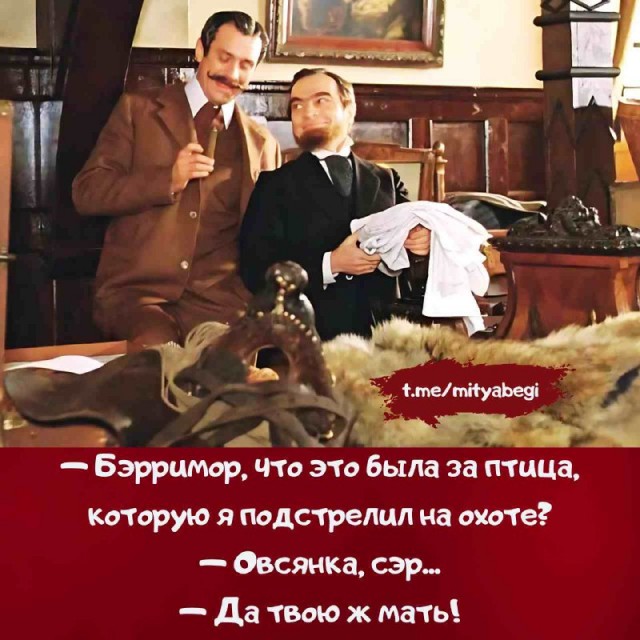 Картинки для деградации 41 (разной степени свежести)