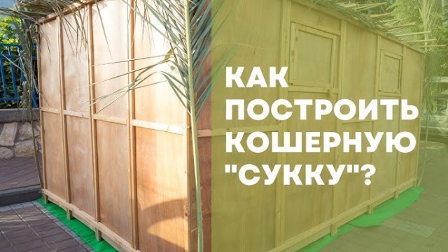 Разбился насмерть во время возведения сукки