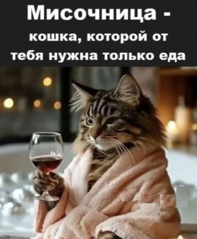 Так себе картинки 21.01.26