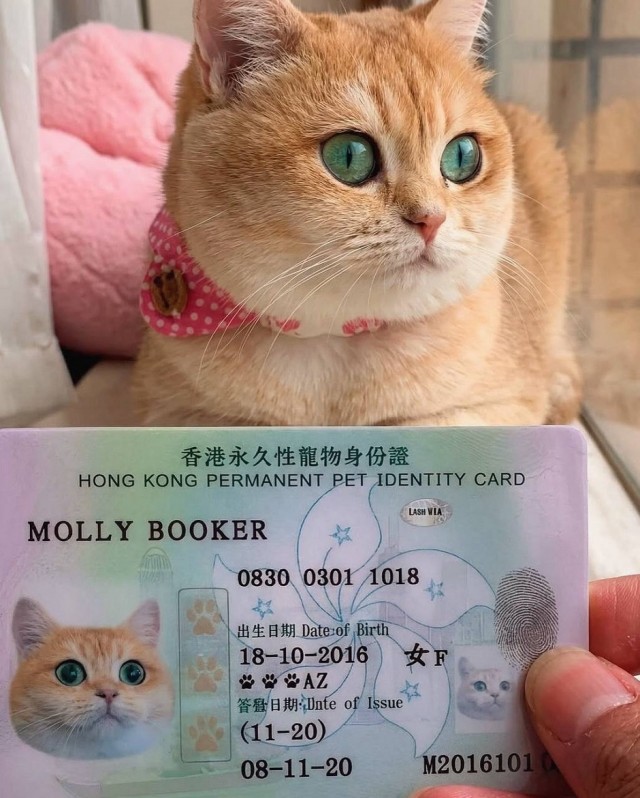 Так себе картинки 19.03.26