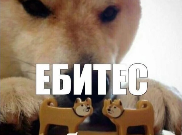 "Куда делись спортивные подтянутые мужчины? Это что вообще такое?"