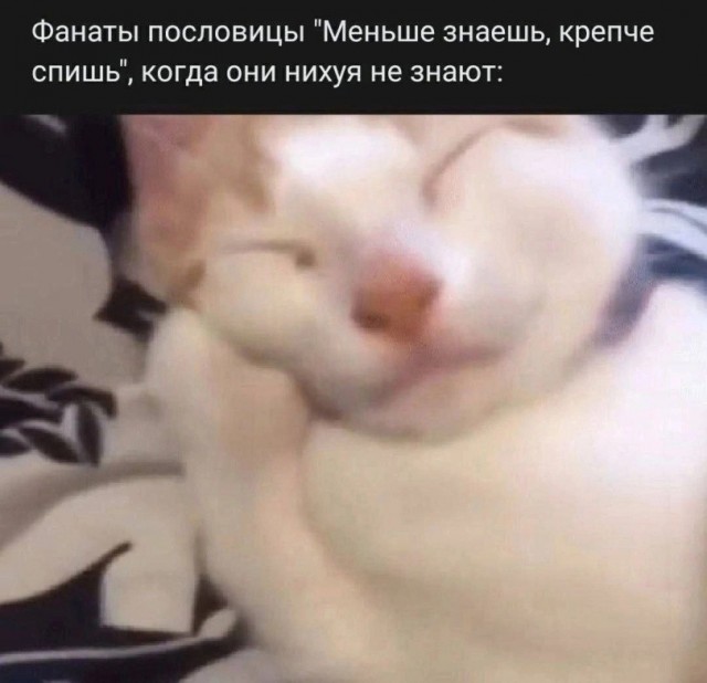 Никакого комплекса у меня нет, я действительно неполноценный!
