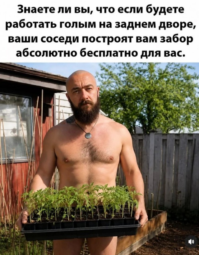 Разные картинки 03.08.26