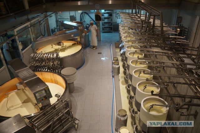 Поездка в Швейцарию