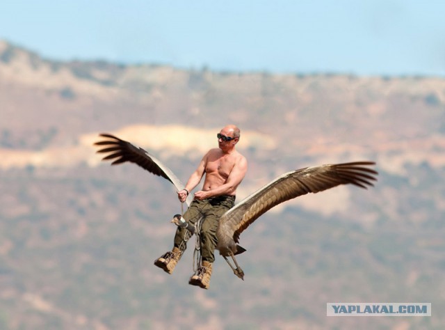 Олимпиада важнее