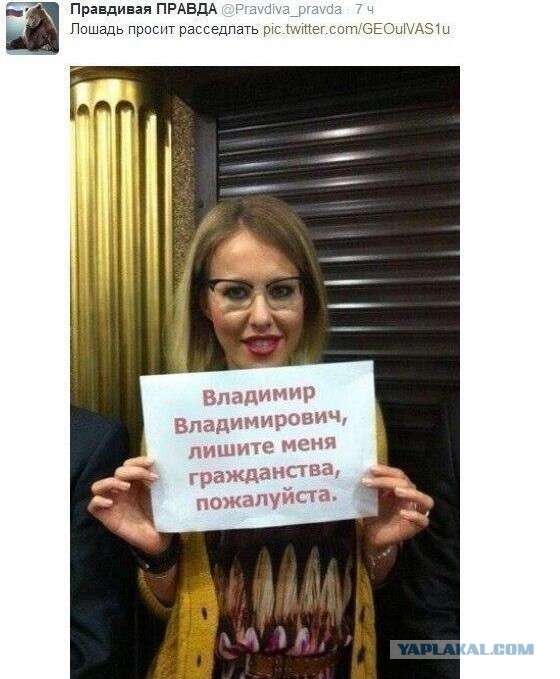 И снова о братьях нащих меньших