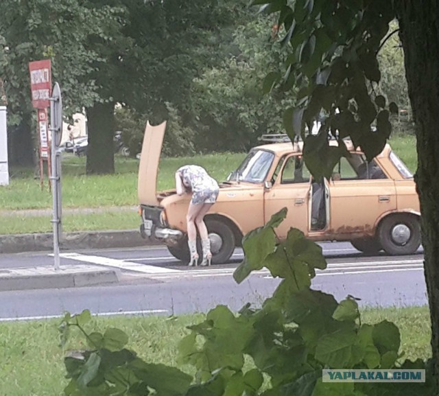 Фотографии, в которые трудно поверить.