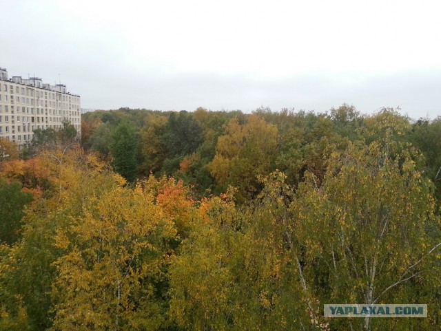 А что у Вас сейчас?