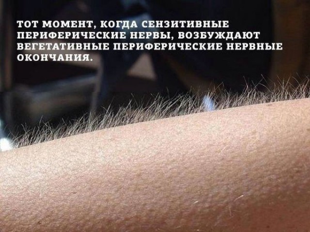 Картинки.
