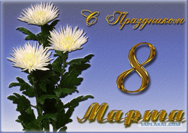 С международным вас женским днём.....