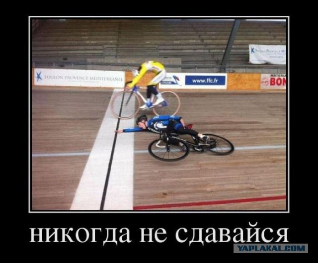 Прикольные картинки из интернета