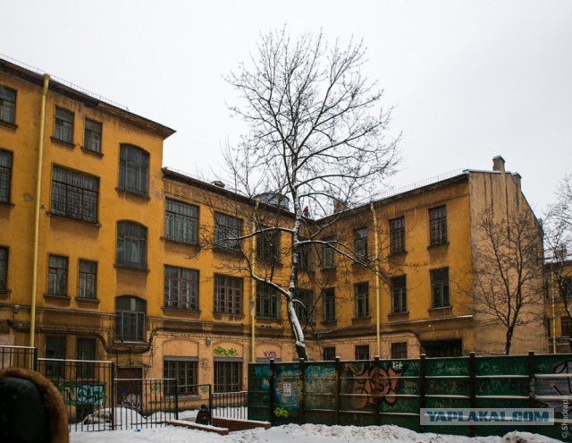 Парадные Петербурга