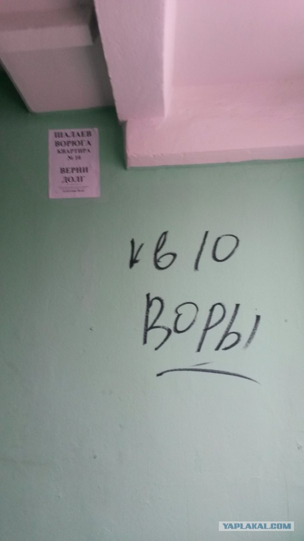 Подарок коллектора-дебила