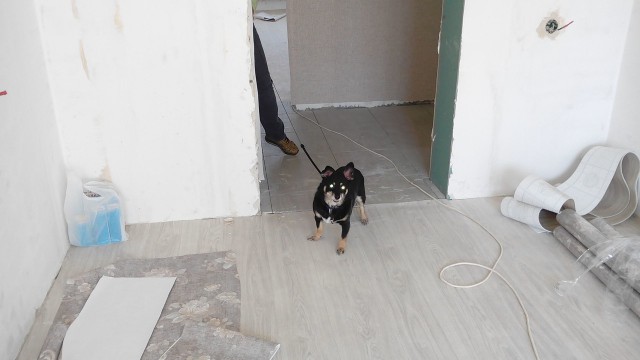 История ремонта новостройки в картинках