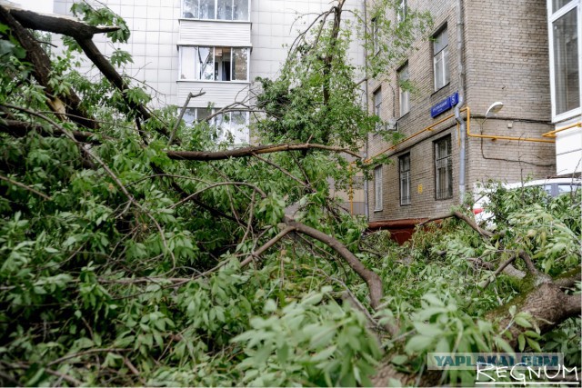Сильная гроза в Москве и ее последствия