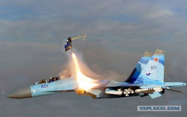 Подборка любопытных фотографий со всего света