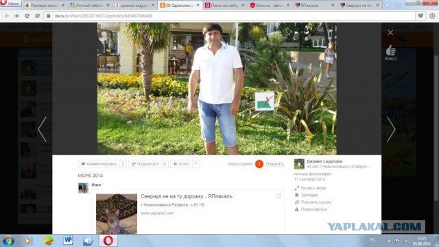 Свернул не на ту дорожку