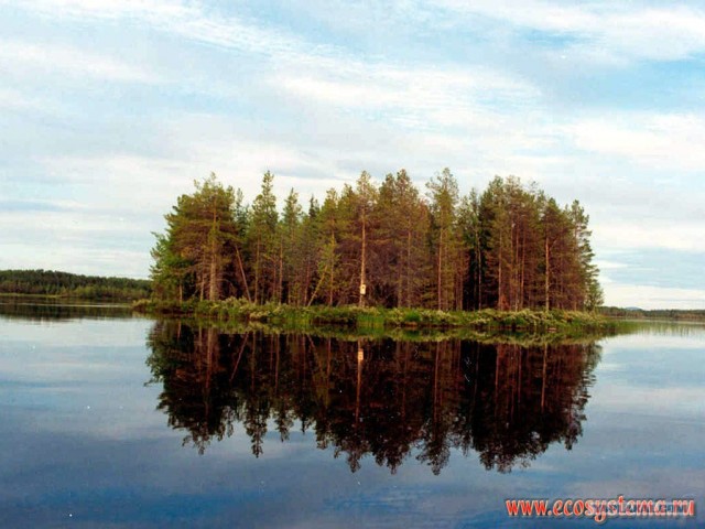 Якуты, клад,золото,любовь...