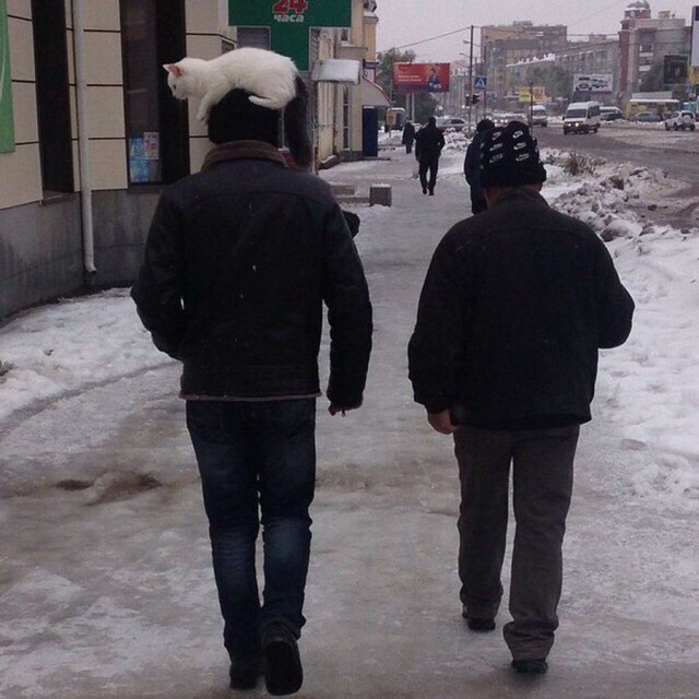 Чудны рабы твои, господи 13.04.18
