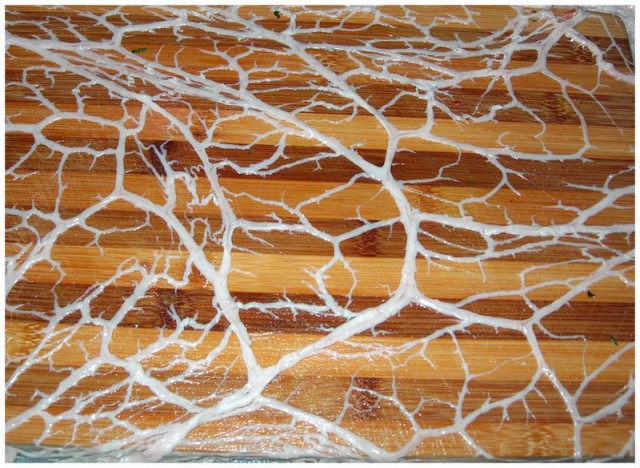 Кулинары поздравляют ЯП с днём рождения!