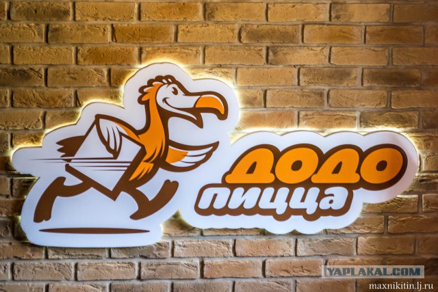 Цаплигатор на прогулке. Вполне добродушная особь!
