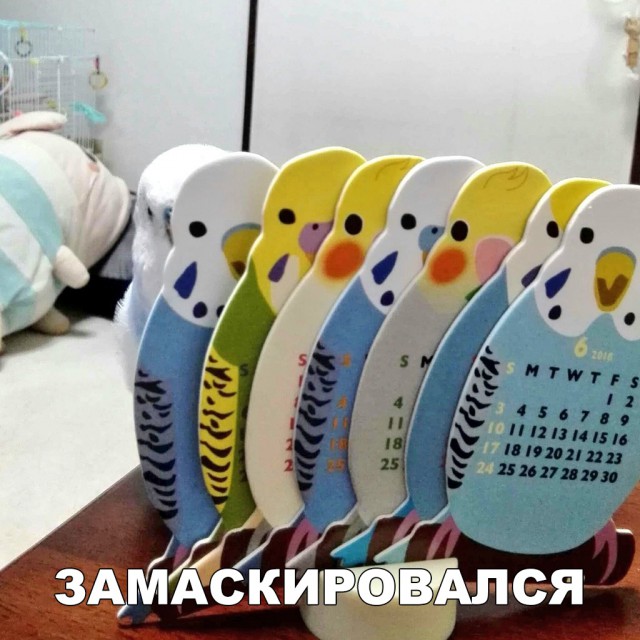 Нестандартный юмор