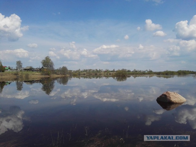 Соскучился по рыбалке