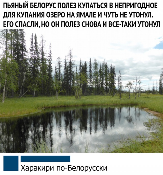Чуток картинок (финал)