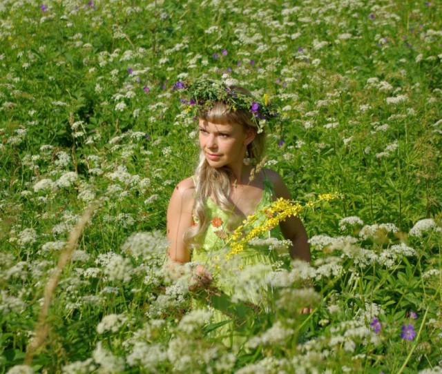 Луга, поля, девчонки