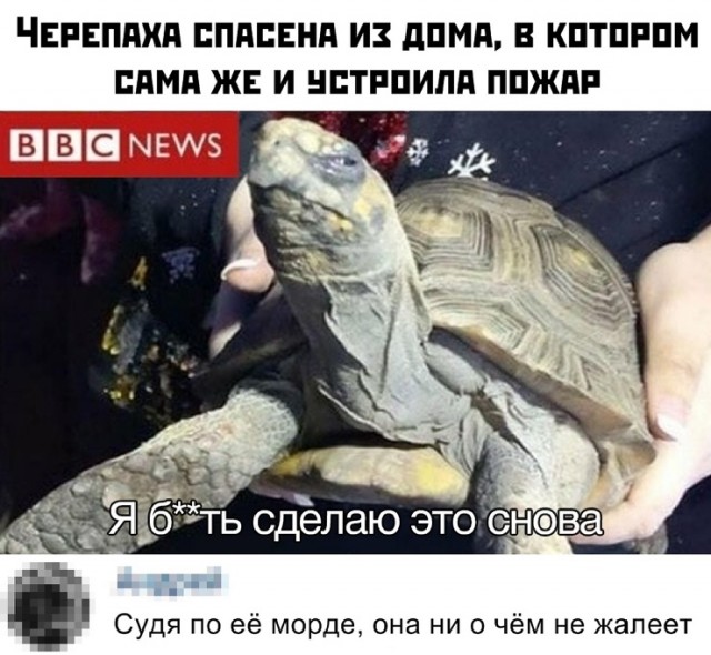 Немного картинок для настроения 02.01.20