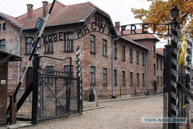 Der Spiegel приписал освобождение Освенцима армии США