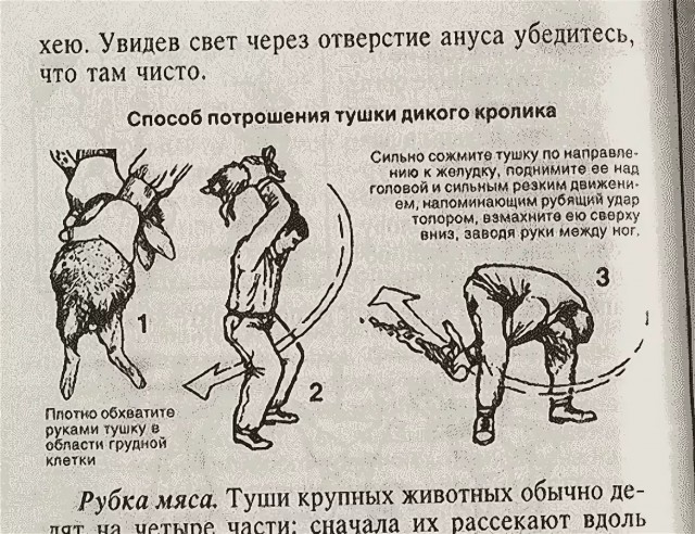 Крепко держат Коготки
